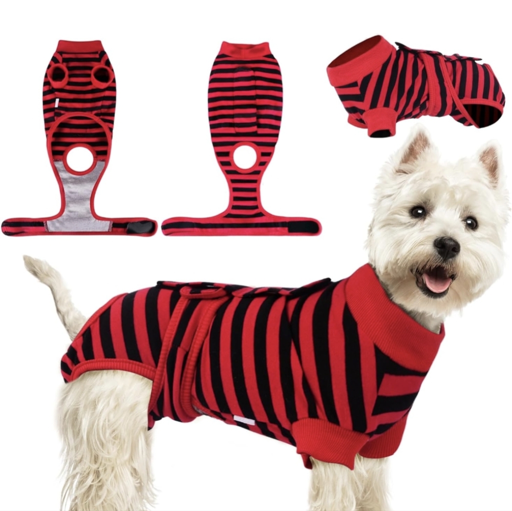 🐾 Dog Recovery Suit, NWT